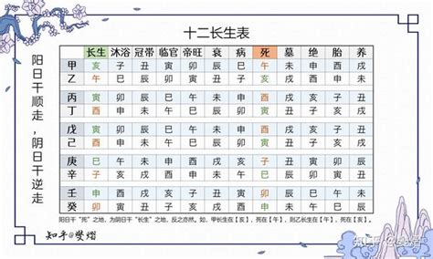 生旺墓|十二长生表（图）详解，五行十二宫运程表解读